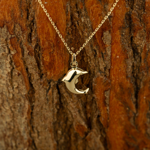 14K Gold Dolphin Pendant Necklace - Embrace the Ocean's Charm